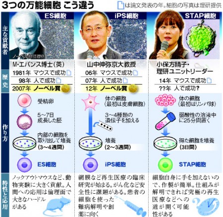 asahididital