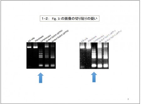 l_yuo_riken_08